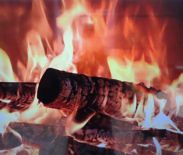 8 Bed Bungalow, Harlaxton Drive, NG7 - Photo 3