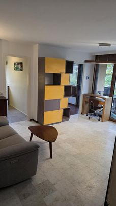 Magnifique 2 pièce meublé avec terrasse de 57m2 à deux min du lac/St-Sulpice VD - Foto 1