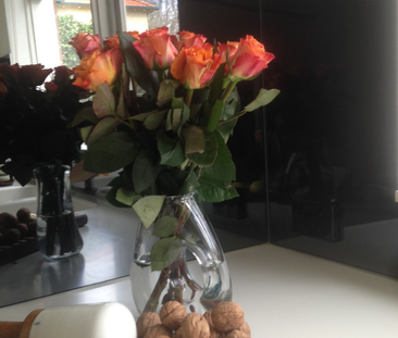 Unit 5, 8 Alicia Street, Hampton, VIC - Photo 4