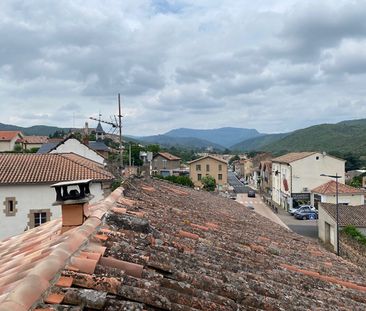 Location appartement 3 pièces, 49.80m², Le Bousquet-d'Orb - Photo 3