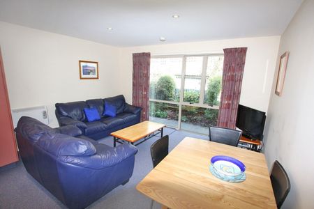 Extremely Tidy Room Available 2026 - Photo 5