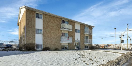 Beau Logement 1 Chambre - Gatineau - Photo 3