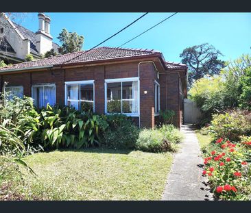 77 Palace Street, Ashfield, NSW 2131 - Photo 3