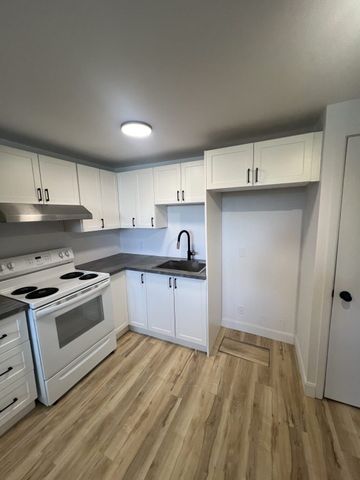 1035#7 rue Dubé Trois-Rivières - Photo 3