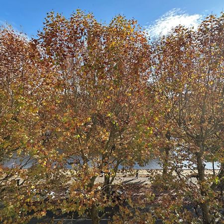 Location Appartement 2 pièces 56m² - Photo 4