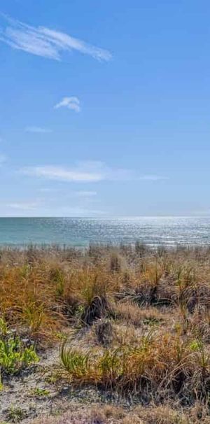 Beachfront Bach Life - Photo 1