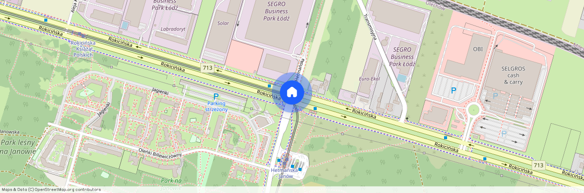 ul. Rokicińska, Olechów, Widzew, Łódź, łódzkie