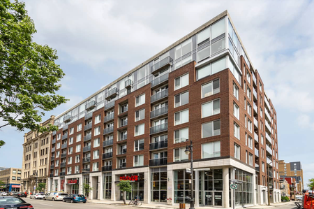1255 Rue De Bullion apartment — Montréal, QC (1-Bedroom) - 1 Bedroom - Photo 3
