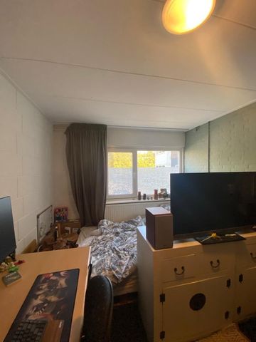 Paulus Moreelsestraat - Foto 2