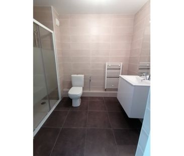 Appartement - RIXHEIM - 39m² - 1 chambre - Photo 3