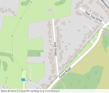 York Drove, Nomansland, Salisbury, SP5 - Photo 1