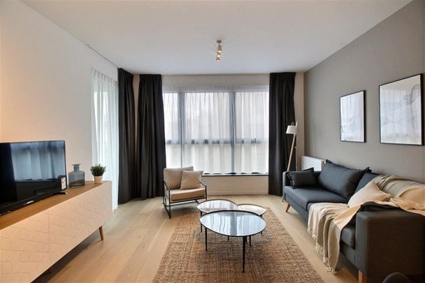 Ernest Solvay D33C - Foto 1