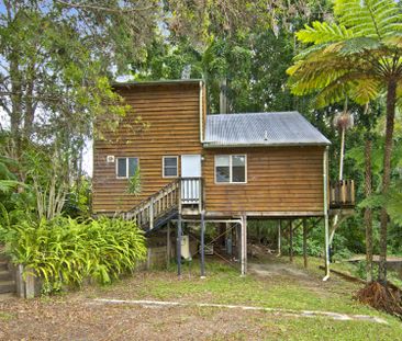 Eagle Heights Rainforest Retreat - Photo 4