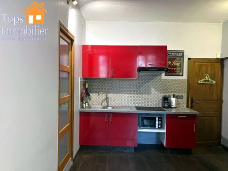 Location Appartement 1 pièce 27m² VILLEFRANCHE DE ROUERGUE 12200 - Photo 4