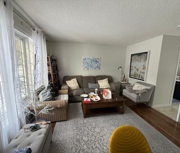 For Lease - 93 Borden Street, Stratford, Ontario - Photo 3