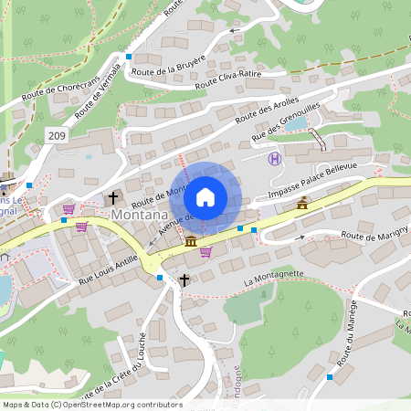 3963, Crans-Montana, avenue de la gare, 19