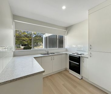 Unit in the Heart of Buderim – Perfect Location & Lifestyle - Photo 6