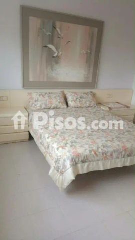 Apartamento en alquiler en Vallpineda-Santa Bàrbara - Foto 2