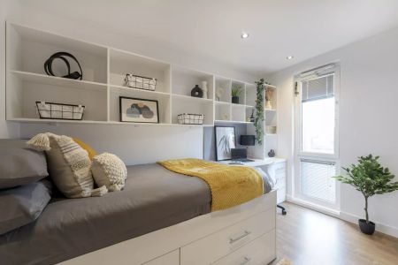 Premier Ensuite in a 7 Bed Apartment - Photo 4