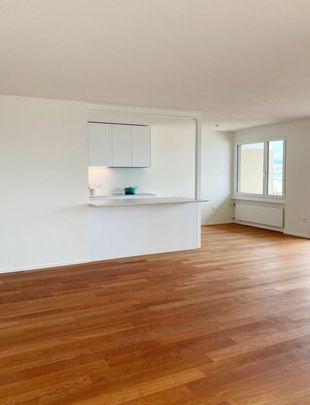 Wunderschöne Attika-Wohnung mit Seesicht - Foto 1