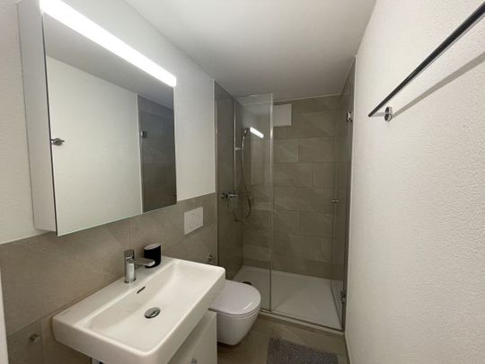 ZENTRAL-MÖBLIERT-MODERN - Foto 1