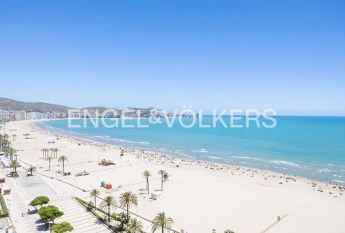Cullera