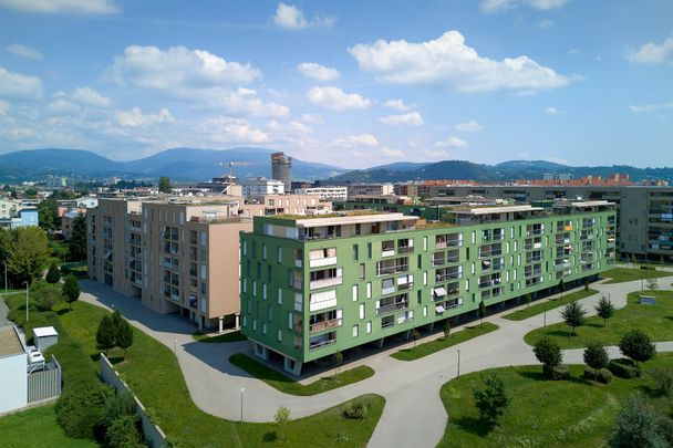 2,5-Zimmer-Wohnung - Foto 1