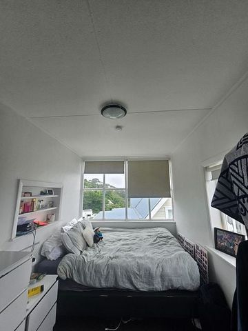 5 bedrooms 2 bathroom in city Thorndon - backyard - Photo 5