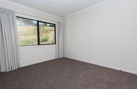 20, Hunter Street, Hamilton, 3204, Hamilton Lake - Photo 4