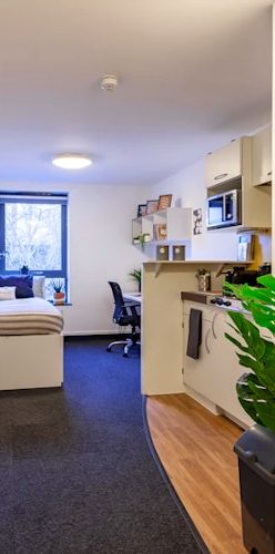 Dimond Studio - Photo 2