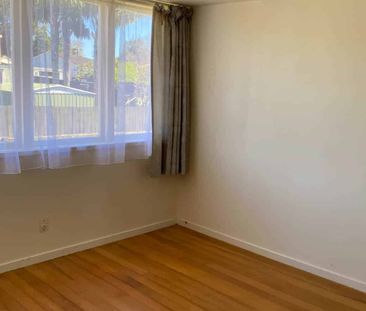 A Little Gem - Photo 4