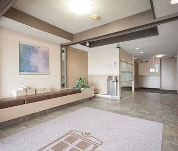 Mayfair Manor Apartments - 1 Bedroom - Photo 6