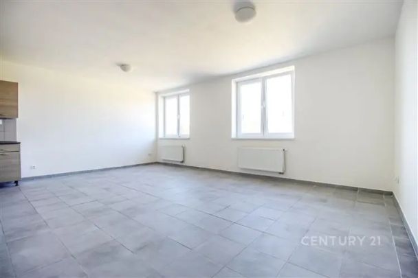 Pronájem 2KK, Křenová, Brno - Photo 1