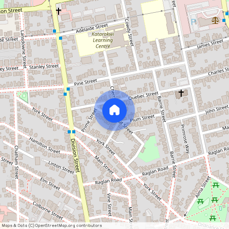 45 Chestnut Street, Kingston