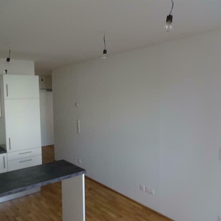 Prov-Frei - 2 Zimmer + Loggia in der Niesenbergergasse - Foto 1