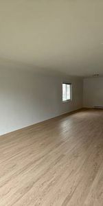 Large 3 bedroom suite in Fernwood. Fresh Paint and brand new flooring - Photo 4