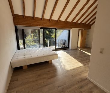 Geräumige 1-Zimmerwohnung mit großem So ... - Photo 6