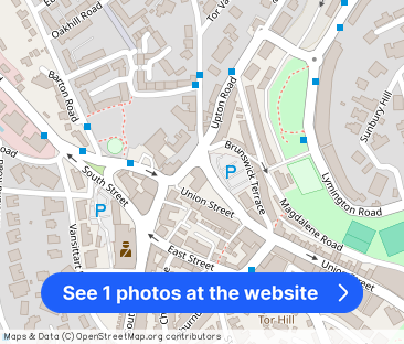 Homepalms House, Torquay, TQ1 - Photo 1