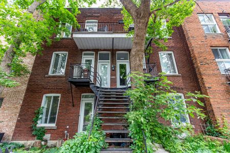 5387 Rue St Dominique, Montréal (Le Plateau-Mont-Royal), QC H2T - Photo 4