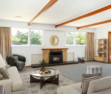 Check This One Out! - Photo 4