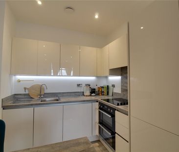 Lilly Court, 21 Fullbrook Drive, Basingstoke, RG21 - Photo 3