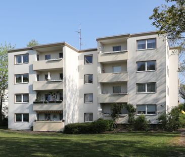 2-Zimmer-Wohnung mit modernem Duschbad // 2.OG Wohnung 2 - Foto 1