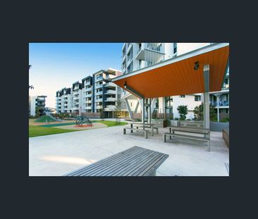 202/50 Charlotte Street, Campsie, NSW 2194 - Photo 3