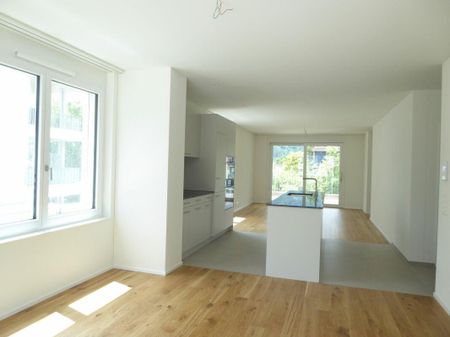 4 1/2-Zimmer-Wohnung - Neubauprojekt "Rheincity" - Foto 5