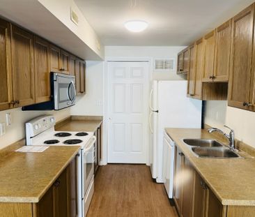 For Lease - 175 Stanley Street Unit# Main Floor of Unit 5, Barrie, ... - Photo 3