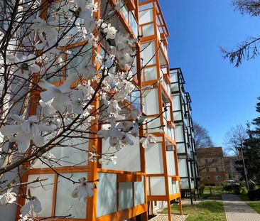 Erdgeschosswohnung in beliebter Wohnlage - Photo 3