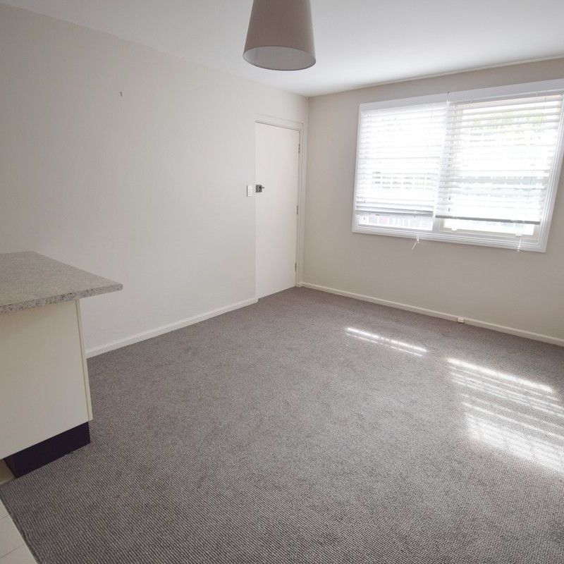 Wonderful One Bedroom Unit in Leafy Enmore! - Photo 1
