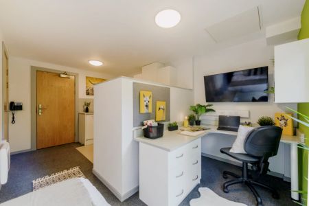 Standard Studio - Photo 5