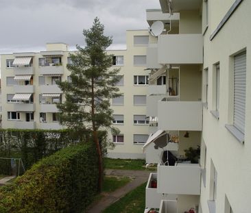 Ideale Familienwohnung in Pratteln - Foto 2