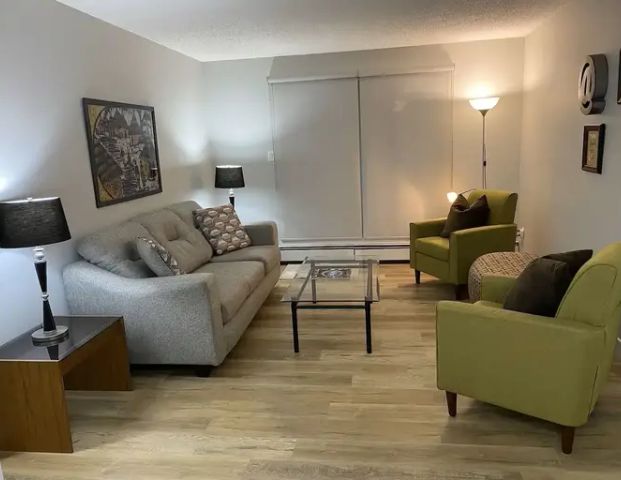 RENOVATED FULLY FURNISHED DOWNTOWN 1BR | 201 - 10529 93 St NW, Edmonton - Photo 1